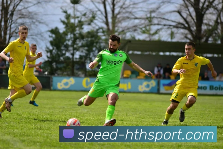 hth体育平台生态图